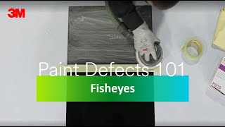 Paint Defects 101 Episode 2 Fish Eyes [upl. by Analaj473]