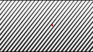 Optokinetic Training  Skewed Stripes and Dot Moving Randomly [upl. by Columbine]