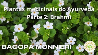 Indicações da Bacopa Monnieri Brahmi  Ayurveda [upl. by Perot]