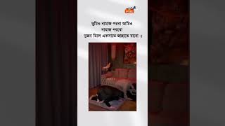 দুজনে একসাথে জান্নাত যাবো।dujon aksathe jannat e jabo youtubeshorts khusbushorts shortsvideo [upl. by Notyep84]