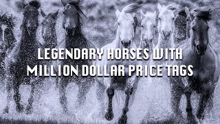 Incredible Stories of The Legendary Horses with MillionDollar Price Tags [upl. by Bocoj]