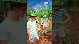 Plantation Experience at Eco Village Udawalawa Sri Lanka [upl. by Yun173]