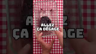 Logique foryou recette recettefacile food cuisine funnyvideo recipe cuisinefacile [upl. by Aniled]