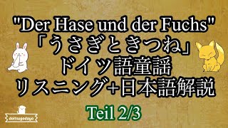 【中級ドイツ語】23 聞き取り＋読解（テキスト＋日本語解説）メルヘン「Der Hase und der Fuchs（うさぎとキツネ）」 [upl. by Trojan877]