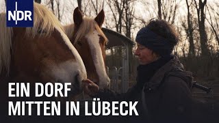 Sozialer Treffpunkt Roter Hahn – ein Dorf in Lübeck  Die Nordreportage  NDR Doku [upl. by Poppy]