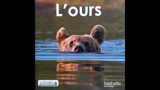 Livre documentaire sur lours [upl. by Gathard367]