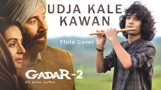 Udd Jaa Kaale Kaava  Gadar 2  Flute Cover  Instrumental  Divyansh Shrivastava [upl. by Namad]