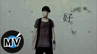 李唯楓 Coke Lee  好不好 Alright 官方版MV  三立華劇 剩女保鏢 插曲 [upl. by Ettie467]