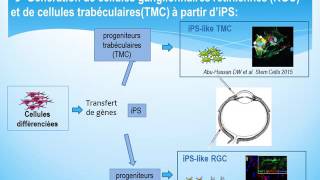 Cellules souches et thérapie du futur Cellules souches et thérapie du futur Christophe Baudouin [upl. by Aihtenak]