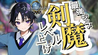 【トーラムオンライン】剣魔の火力を高くしたい！ トーラムオンライン toramonline【新人vtuber】 [upl. by Urbanna219]