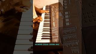 humne ghar chora hai  sadhna sargam  udit narayan  keyboard instrumental [upl. by Bergmans666]