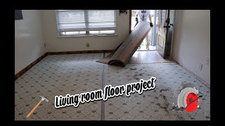 Living room floor project [upl. by Jeanna]