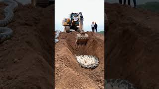 Excavator digging hill finds giant nest of python eggs python wildlife excavator anime [upl. by Wallache782]