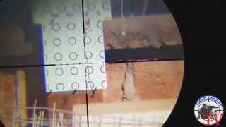 Rifle PCP Walther Rotex R8 pruebas a 50 Metros Field Target TV [upl. by Primaveras711]