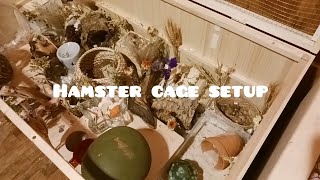 Natural hamster cage setup [upl. by Koerlin]