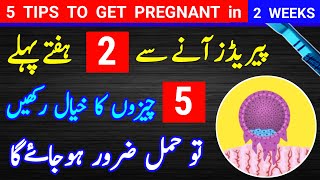 5 Tips To Get Pregnant in 2 Weeks Pregnancy implantation Progesterone Garbhavastha infertility [upl. by Lorna]