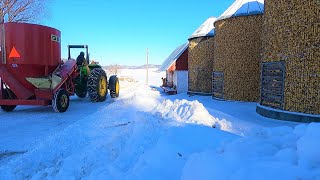 Grinding Corn Life on a Farm Day 6 [upl. by Graaf]