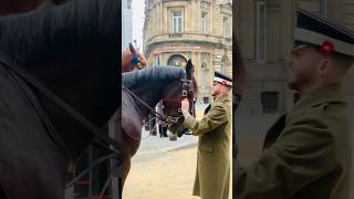 london lordmayor horse horselover soldier army viralvideo shorts youtubeshorts feedshorts [upl. by Jacinto]