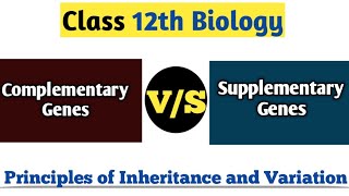 Difference Between Complementary Gene amp Supplementary Gene  Principles of Inheritance And Variation [upl. by Haldane804]