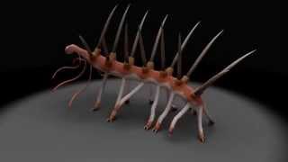 Hallucigenia sparsa reconstruction I [upl. by Pet]