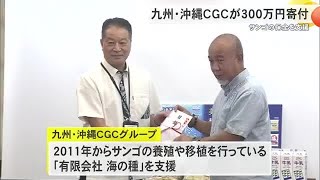 九州・沖縄CGCグループがサンゴの養殖・移植に取り組む企業に300万円寄付 240927 1841 [upl. by Ronym]