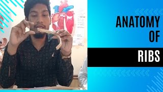 Anatomy of Typical Ribs True and False Ribs Typical and Atypical Ribs Bangla Lecture [upl. by Oflodor]