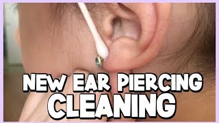 HOW TO CLEAN YOUR NEWLY PIERCED EARS  Ear Piercing Aftercare [upl. by Kreg]