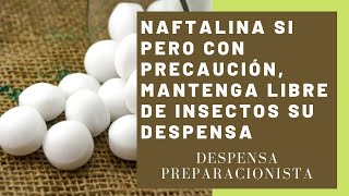 Naftalina sí pero con precaución mantenga libre de insectos su despensa [upl. by Willabella415]