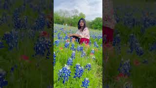 Bluebonnet field Texas state flower 💙🦋 [upl. by Shira39]