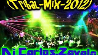 Tribal Mix 3ball Edition JanuaryFebrero 2012  Dj Carlos Zavala® [upl. by Ulrike]