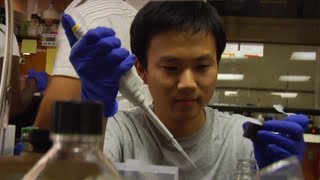 Undergraduate Research at Carnegie Mellon [upl. by Dyrrej665]