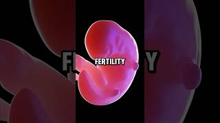 EyeOpening😳facts fertility fertilityfacts asmr satisfying frozenpizza frenchfries [upl. by Diane740]