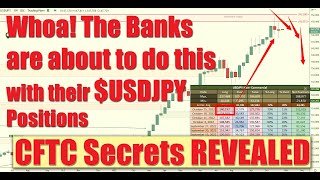 How to Trade like the Big Banks 🏦 How to Analyze CoT Report Data  Trade Forex Currency EURUSD JPY [upl. by Miranda]