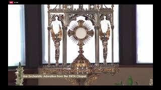 LIVE Eucharistic Adoration on EWTN [upl. by Asfah124]