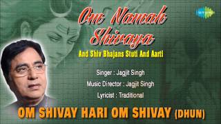 Om Shivay Hari Om Shivay Dhun  Hindi Devotional Song  Jagjit Singh  Superhit Shiv Bhajan [upl. by Araik]