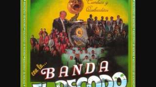 Banda El Recodo Mix De Cumbias [upl. by Lrigybab]