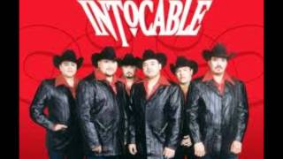 INTOCABLE contigo letra [upl. by Acirdna420]