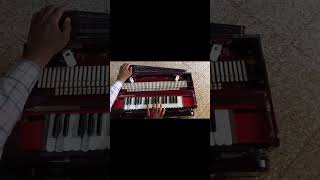 Harmonium sangeet 🔥🔥harmonium music shorts [upl. by Gabbie967]