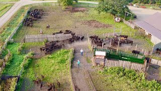 Day In The Life Of A South Dakota Rancher [upl. by Llekim]