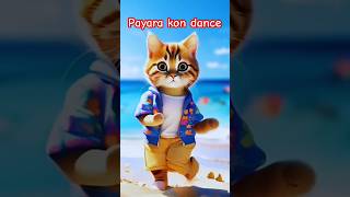 सबसे प्यारा हैं कौन cat cute🤣🤣 catlover kitten shortvideo trending viralvideo animal [upl. by Karol]