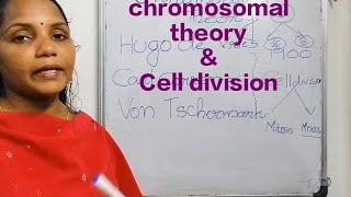 Chromosomal theory of Inheritance education students plustwoscience [upl. by Anelhtac]