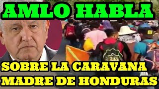 elpumapolitico Habla sobre la caravana de Honduras  Mexicanos ya no emigran a usa [upl. by Naus]