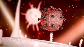 A potential cure for HIV [upl. by Thibault]