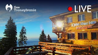 Julius Römer Hütte  Cabana Postavarul  🔴 Poiana Brasov Live Webcam Partia Lupului [upl. by Trebbor435]