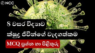 Grade 8 Science Sinhala MCQ  ක්ෂුද්‍ර ජීවීන්ගේ වැදගත්කම  new science quiz in Sinhala 2024 [upl. by Barraza]