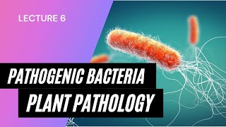 Pathogenic Bacteria  Bacteria in Hindi  Plant Pathology  Lecture 6  Abhay Sir  AgriMoon [upl. by Roban]