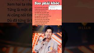 Sao phải khóc  Phan Duy Anh nhachaymoingay phanduyanh lofi thinhhanh remix2024 [upl. by Annuahs]