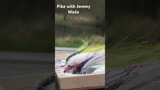 Hunting for pike on the fly with Jeremy Wade [upl. by Anelec134]