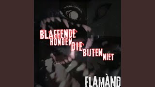 Blaffende Honden Die Bijten Niet by Flamànd [upl. by Enimsaj]