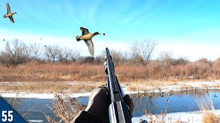 Duck Hunting a HEATED Channel  Late Season Duck and Goose Hunt [upl. by Cohn]